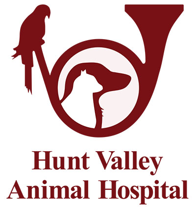 Our Veterinary Team | Hunt Valley Animal Hospital, Cockeysville, MD